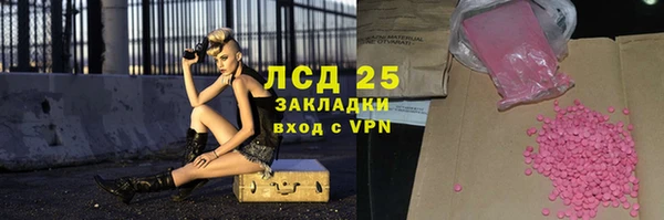 прущий лед Алзамай