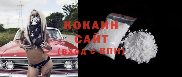 прущий лед Алзамай