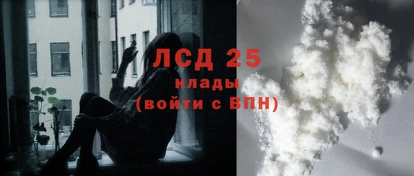 прущий лед Алзамай