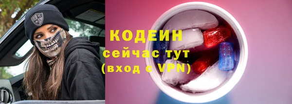 прущий лед Алзамай