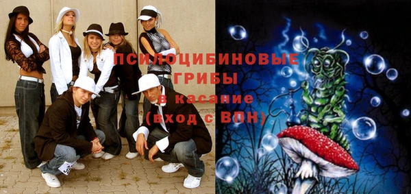 прущий лед Алзамай