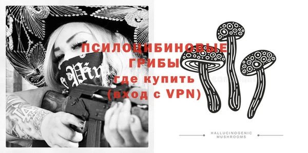 крисы Алексеевка