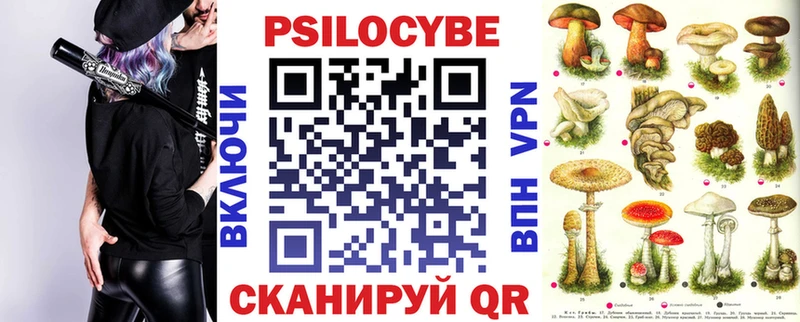 Галлюциногенные грибы мицелий  omg сайт  Саянск 